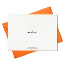 Hallmark Abstract Doodles And Dots Boxed Blank Note Cards, Pack Of 48 -Hallmark Toys Shop Abstract Doodles and Dots Boxed Blank Note Cards 5STZ1092 05