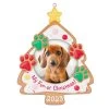 Hallmark My Fur-st Christmas 2023 Photo Frame Ornament -Hallmark Toys Shop Christmas Cookie Pet Picture Frame Keepsake Ornament 1599QGO2607 01