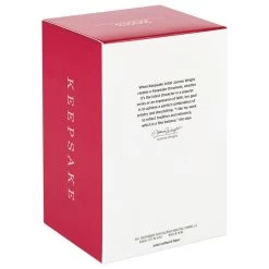 Hallmark Father Christmas Ornament -Hallmark Toys Shop Father Christmas With Toy Bag Keepsake Ornament 2499QXR8137 05