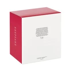 Hallmark Snowflake Ornament And Stocking Hanger -Hallmark Toys Shop Keepsake Snowflake Ornament and Stocking Hanger 1999QSB6303 05