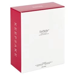 Hallmark Star Wars: The Mandalorian™ The Mandalorian's N-1 Starfighter™ Ornament -Hallmark Toys Shop Mandalorian Starfighter Keepsake Ornament 2999QXI7119 05