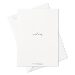 Hallmark Pattern Play Assorted Blank Note Cards, Pack Of 48 -Hallmark Toys Shop Pattern Play Assorted Blank Note Cards 5STZ5118 05