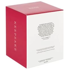 Hallmark Playful Penguins On Ferris Wheel Musical Ornament With Light And Motion 12 Hallmark Playful Penguins On Ferris Wheel Musical Ornament With Light And Motion -Hallmark Toys Shop Penguins on Ferris Wheel Keepsake Ornament 4499QGO2679 05