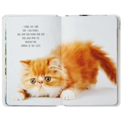 Hallmark Pet Prayers: Funny Pleas And Praise From Our Animal Friends Book -Hallmark Toys Shop Pet Prayers Funny Pleas and Praise From Our Animal Friends Book root 1BOK1418 BOK1418 1470 3.jpg Source Image