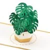 Hallmark Plant In Pot 3D Pop-Up Thinking Of You Card -Hallmark Toys Shop Plant in Pot 3D PopUp Thinking of You Card 1299LAD2900 01