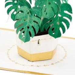 Hallmark Plant In Pot 3D Pop-Up Thinking Of You Card -Hallmark Toys Shop Plant in Pot 3D PopUp Thinking of You Card 1299LAD2900 03