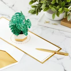 Hallmark Plant In Pot 3D Pop-Up Thinking Of You Card -Hallmark Toys Shop Plant in Pot 3D PopUp Thinking of You Card 1299LAD2900 07