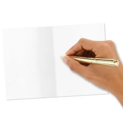 Hallmark Primary Colors Assorted Blank Thank-You Notes, Pack Of 48 -Hallmark Toys Shop Primary Colors Blank ThankYou Notes Assortment Pack 5STZ1057 06