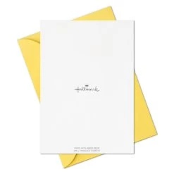 Hallmark Primary Colors Assorted Blank Thank-You Notes, Pack Of 48 -Hallmark Toys Shop Primary Colors Blank ThankYou Notes Assortment Pack 5STZ1057 07