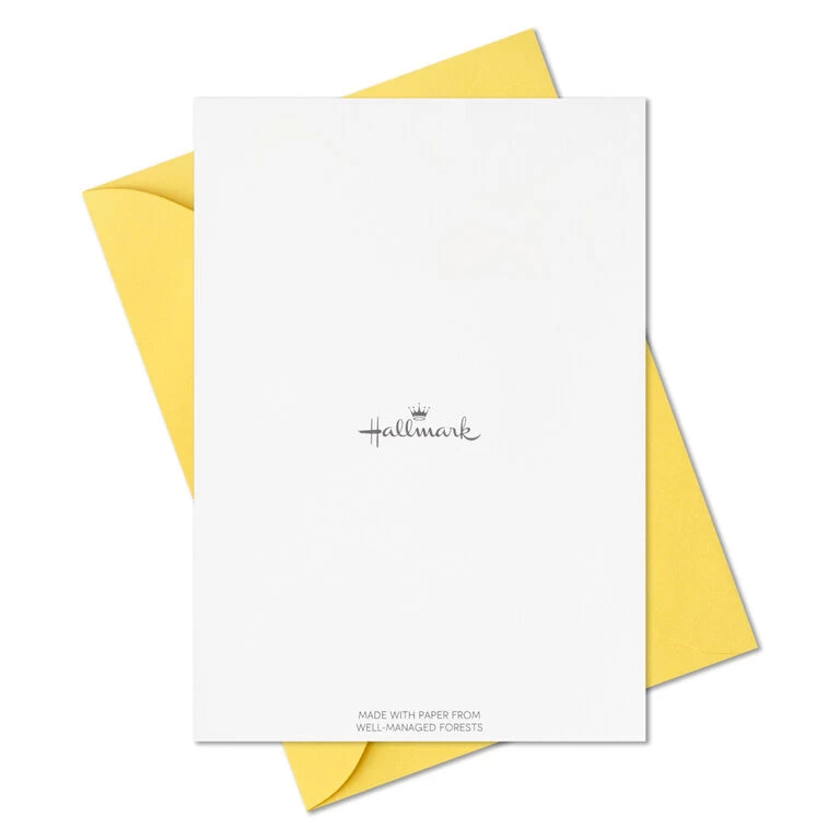 Hallmark Primary Colors Assorted Blank Thank-You Notes, Pack Of 48 - Image 7