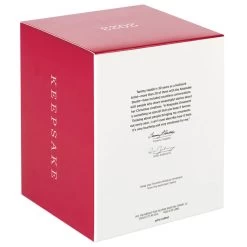 Hallmark Sweet Snowman 2023 Ornament -Hallmark Toys Shop Snowman With Snowflake Ornament Keepsake Ornament 3999QGO2777 05