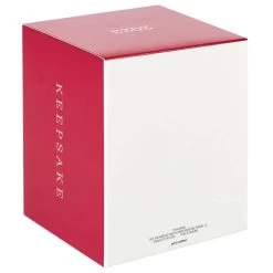 Hallmark Star Wars: The Book Of Boba Fett™ Riding Into The Battle Ornament -Hallmark Toys Shop Star Wars Boba Fett on Rancor Keepsake Ornament 2499QXI7087 05