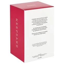 Hallmark Disney Tinker Bell Pixie-Dusted Poinsettia Ornament -Hallmark Toys Shop Tinker Bell on Flower Keepsake Ornament 2099QXD6637 05