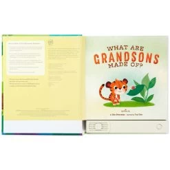 Hallmark What Are Grandsons Made Of? Recordable Storybook -Hallmark Toys Shop What Are Grandsons Made Of Recordable Storybook 1KOB1230 03